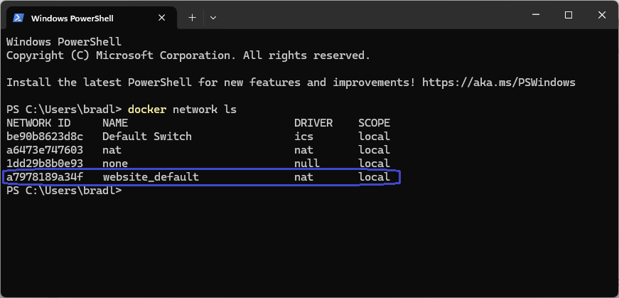 PowerShell window showing Docker network list with highlighted website_default NAT network ID