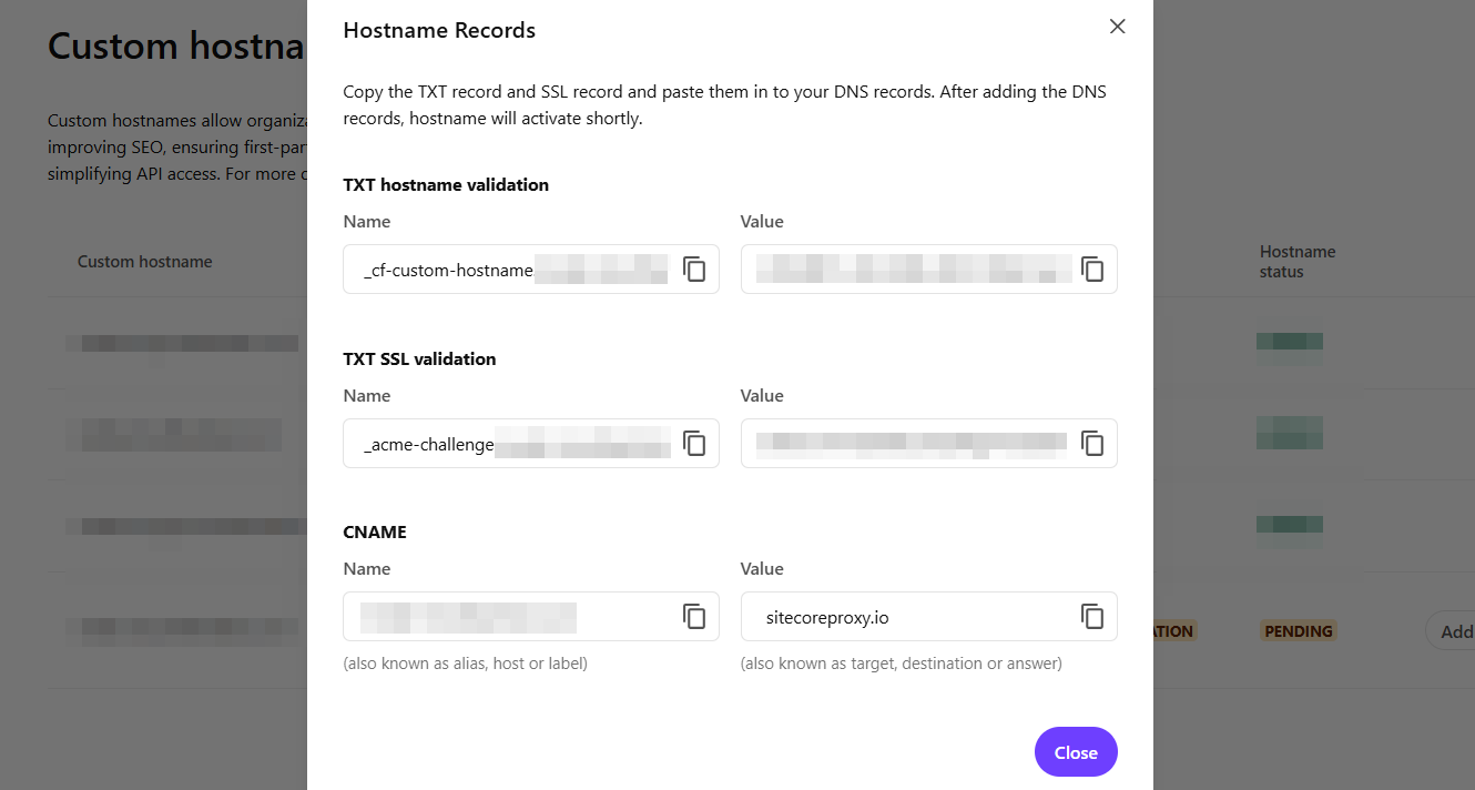 Hostname Records modal displaying TXT and CNAME records for DNS configuration.