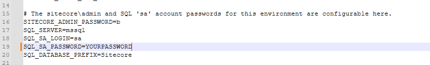 Configuration file showing environment variables including SQL server login and placeholder password SQL_SA_PASSWORD=YOURPASSWORD