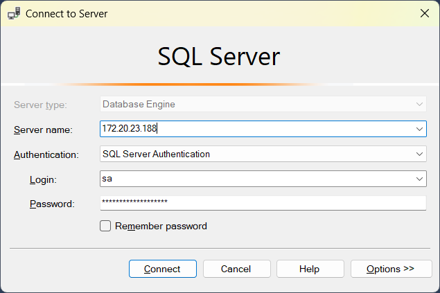 SQL Server login screen