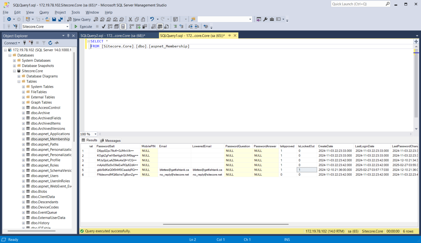 SQL Server Management Studio showing query results