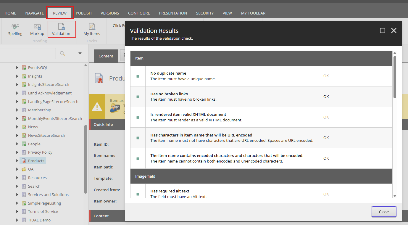 Accessibility Validation tool in the Sitecore Content Editor Review tab