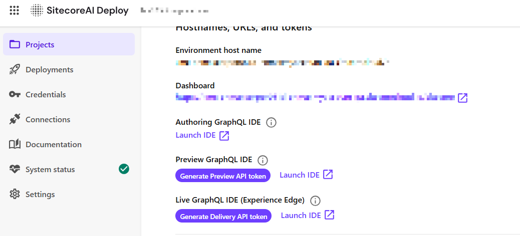 API Token in Deploy UI